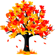 fall tree